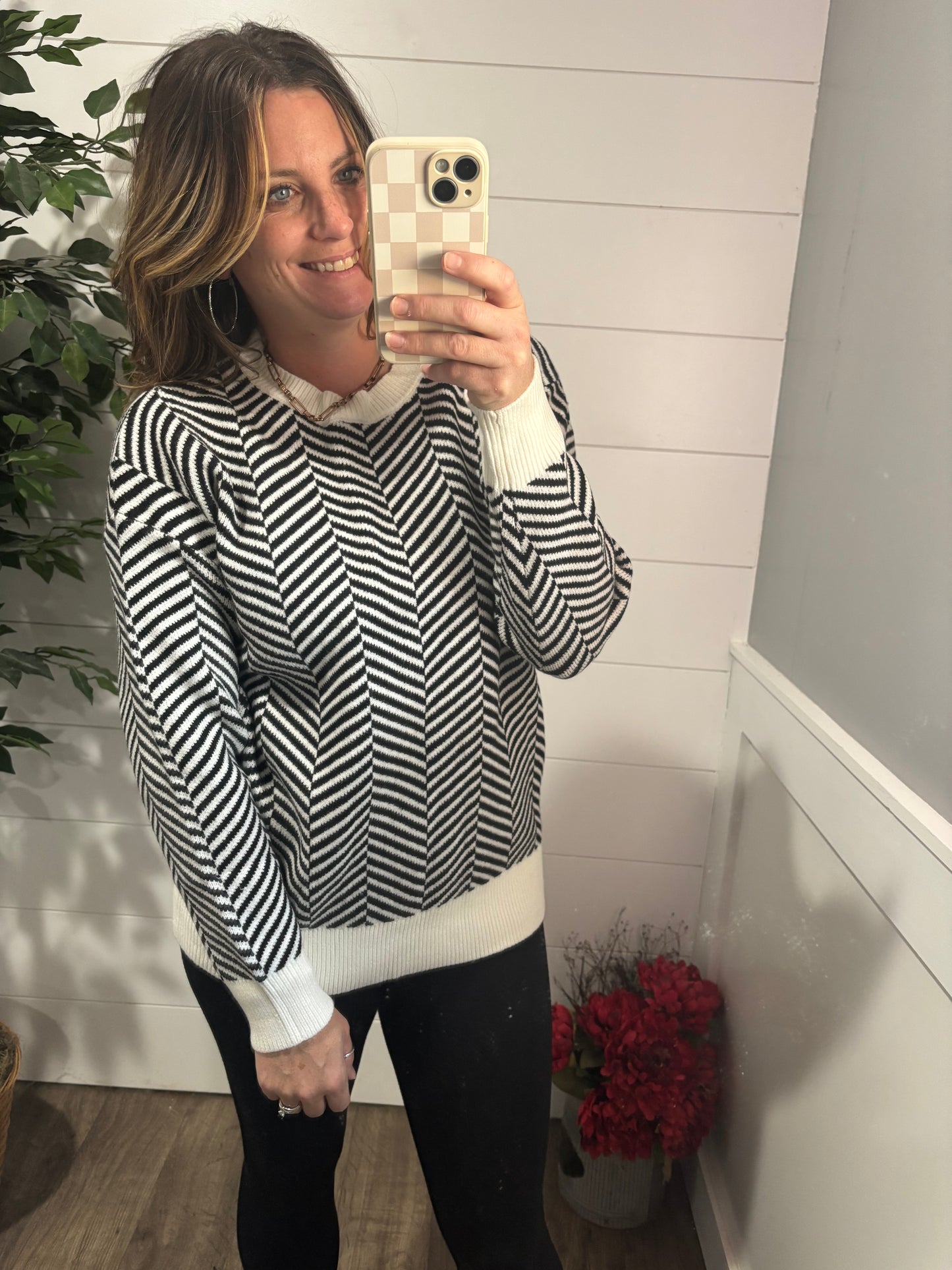 Super Secret Chevron Sweater